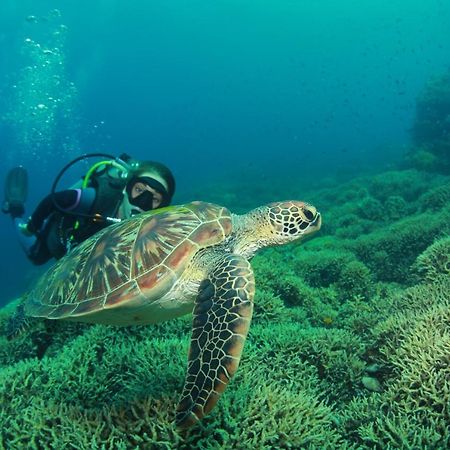 Bongo Bongo Divers Dauin Buitenkant foto