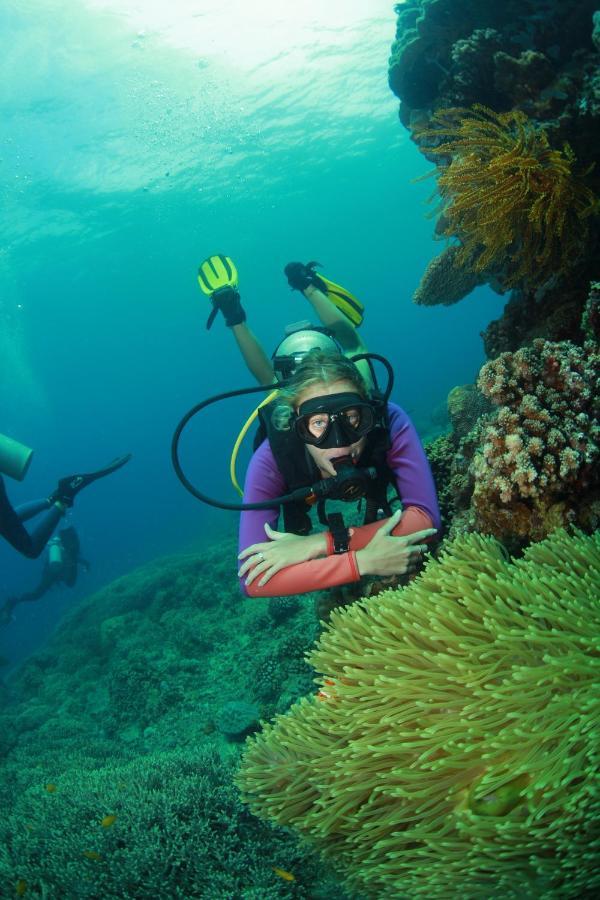 Bongo Bongo Divers Dauin Buitenkant foto