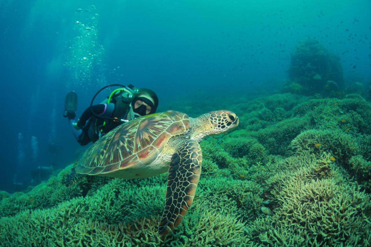 Bongo Bongo Divers Dauin Buitenkant foto